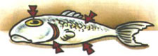 fig27.jpg