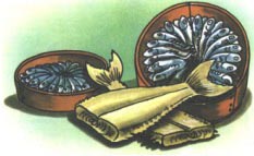 fig30.jpg