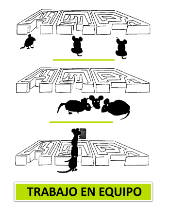 imagen2_201